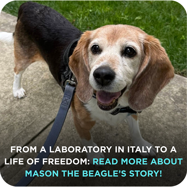Mason's Story