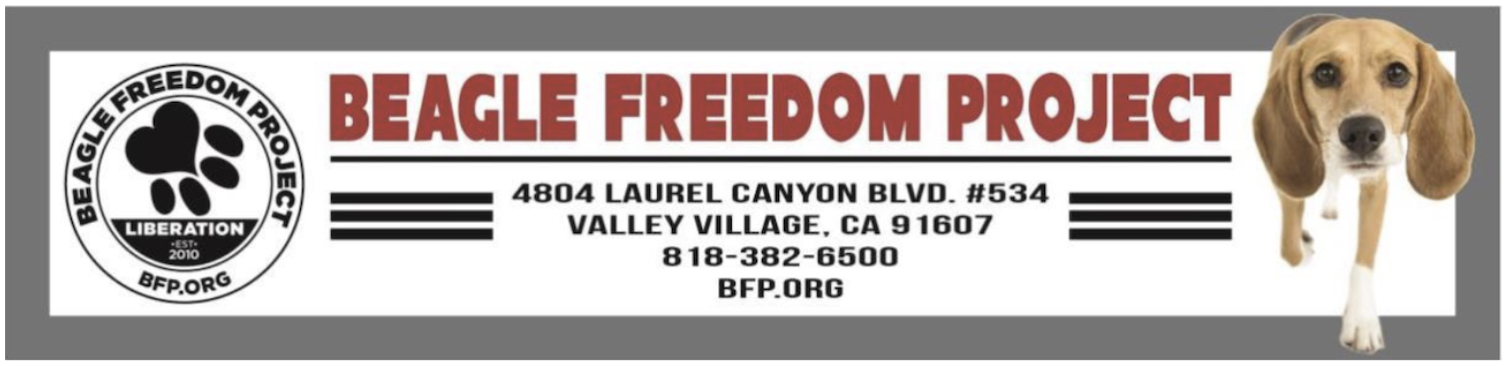 Beagle Freedom Project