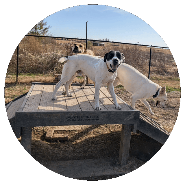 Freedom Fields: Play & Agility Park