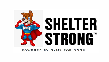 Shelter Strong Powered by Gyms For Dogs