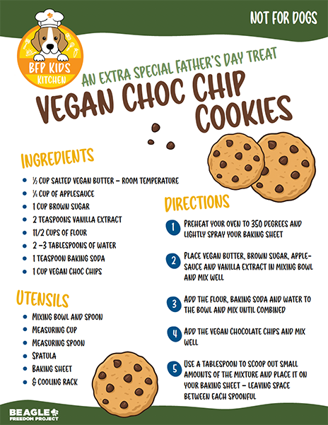 Kids Kitchen: Vegan Choc Chip Cookies