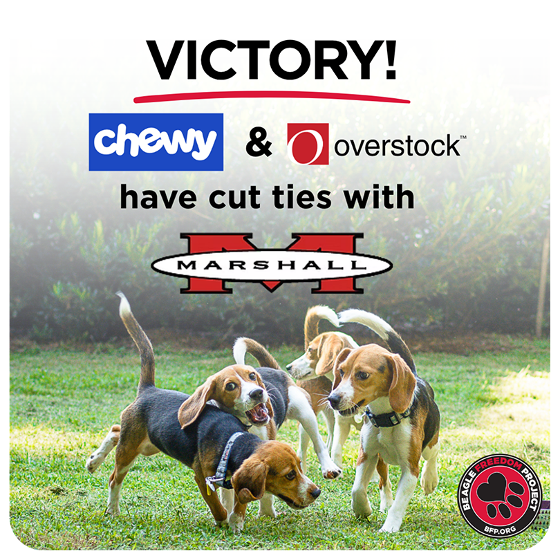 Cut The Cruelty Victory