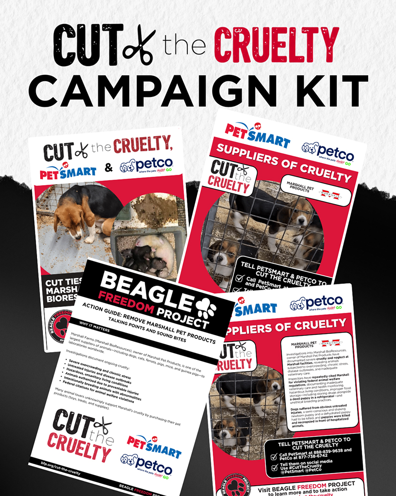 Cut The Cruelty Campaign Kit