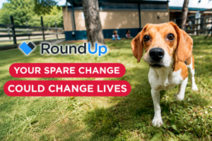 RoundUp
