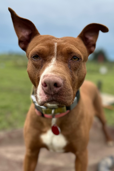 Friend’s at Freedom Fields - Grace headshot