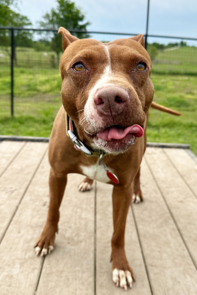 Friend’s at Freedom Fields - Grace being silly