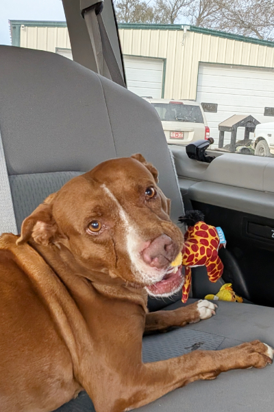 Friend’s at Freedom Fields - Grace enjoys car ride