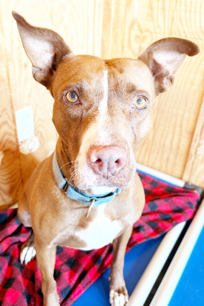 Friend’s at Freedom Fields - Grace on her bed