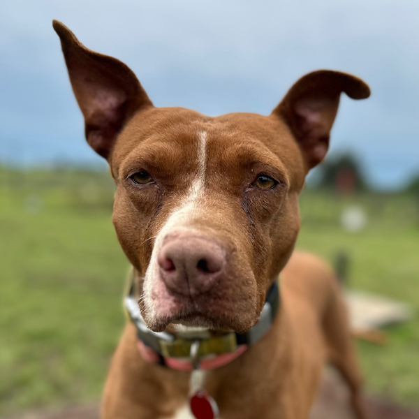 Friends at Freedom Fields - Grace