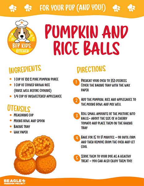 Kid's Kitchen: Pumpkin & Rice Balls