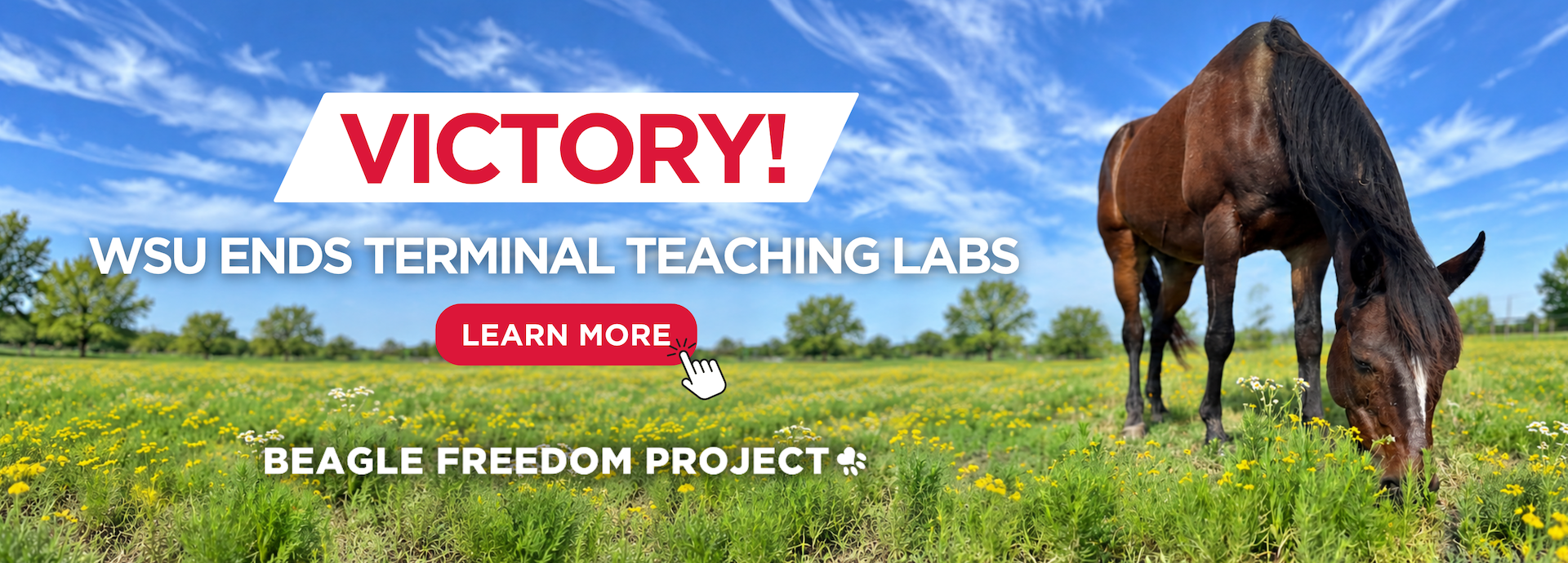 VICTORY! WSU ENDS TERMINAL TEACHING LABS!